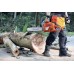 Бензопила Husqvarna 365